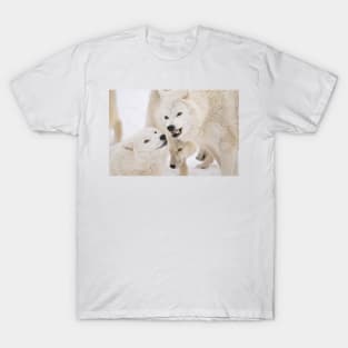 Arctic Wolves T-Shirt